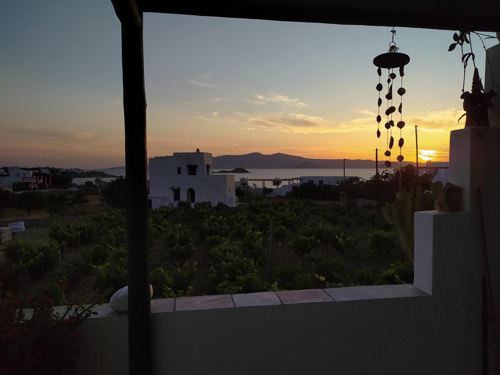 Matina'S Vineyard Hotel Mikri Vigla Room photo